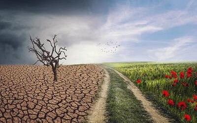 La adaptación al cambio climático: el gran reto de la agricultura del siglo XXI 